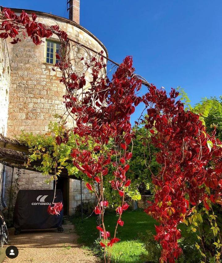 Coté-Serein La Privilège de la Tour Madame Noyers-sur-Serein Esterno foto